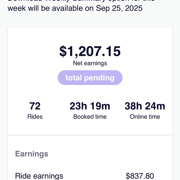 Earnings Summary Display - Picture 1 of 3
